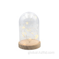 Star Effect Preserved Flower LED light with Plastic Cover for Home Decoration Factory